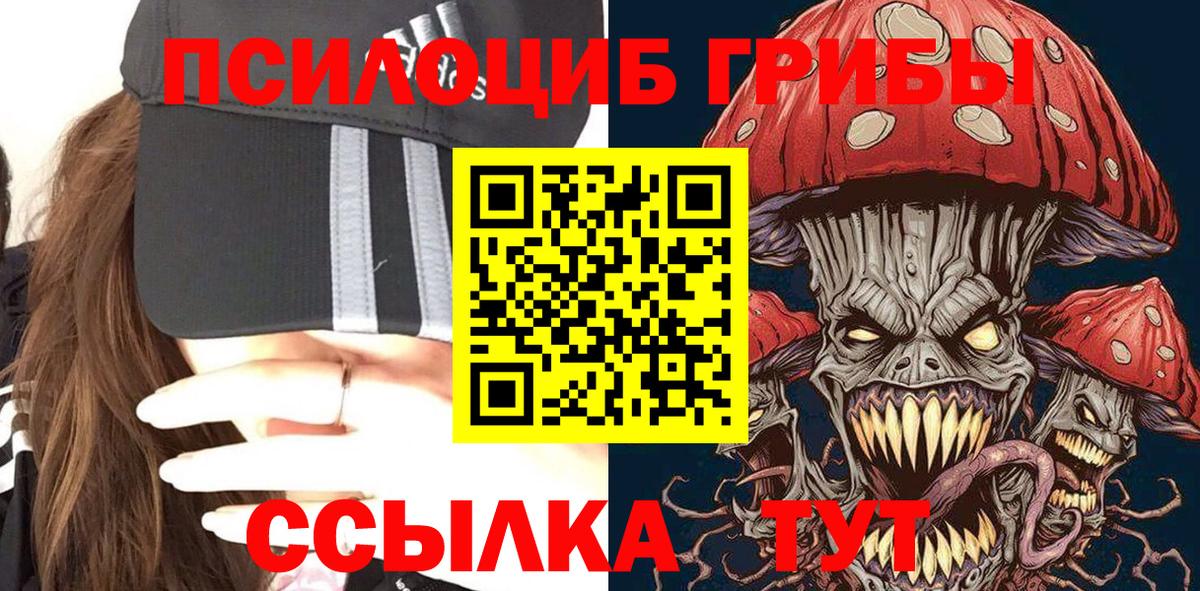 Зеленокумск  Галлюциногенные грибы Psilocybine cubensis  Вход с VPN 